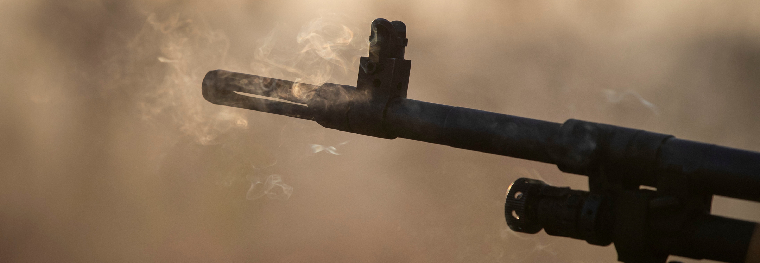 The Tyrant You Know | The Cove